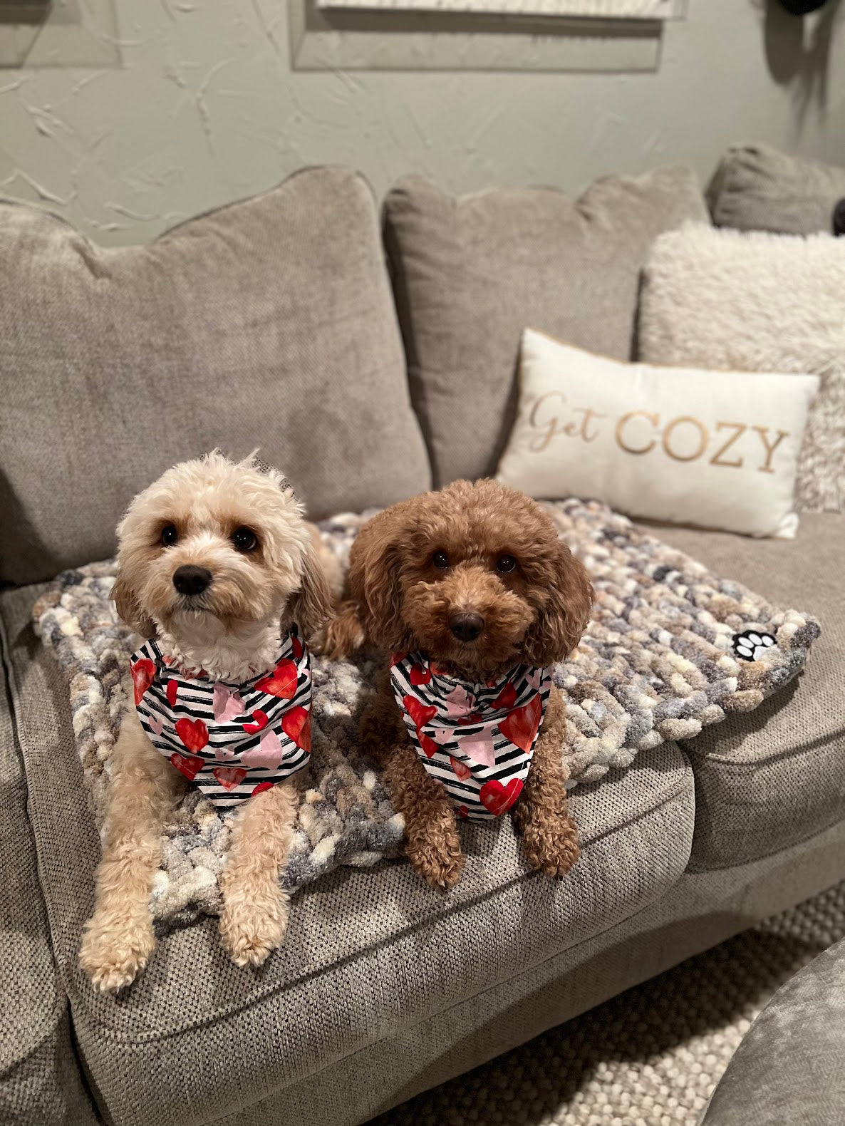 Custom Chunky Knit Pet Blanket