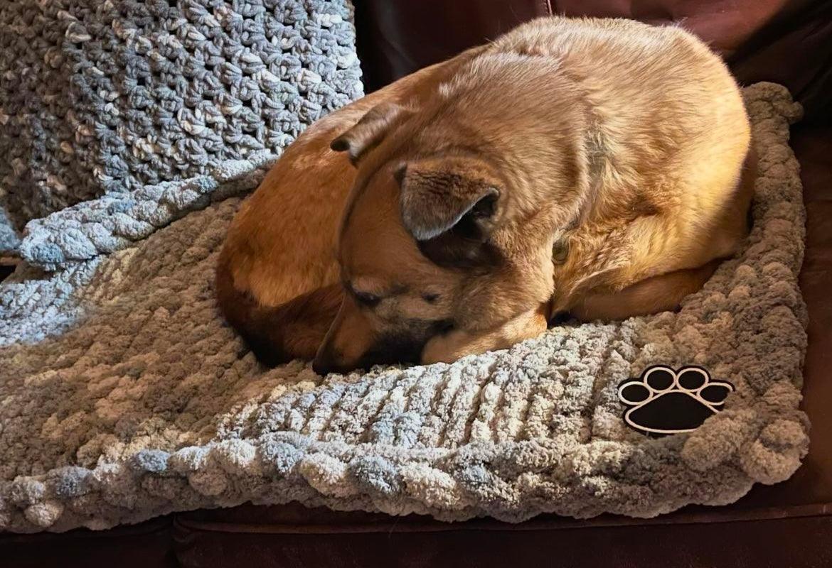 Custom Chunky Knit Pet Blanket - Thru the Loops Chunky Knit Creations